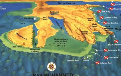 Ras Mohamed National Park