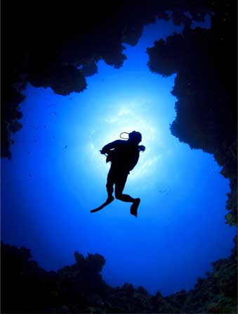 Ras Mohamed Red Sea Scuba Diving