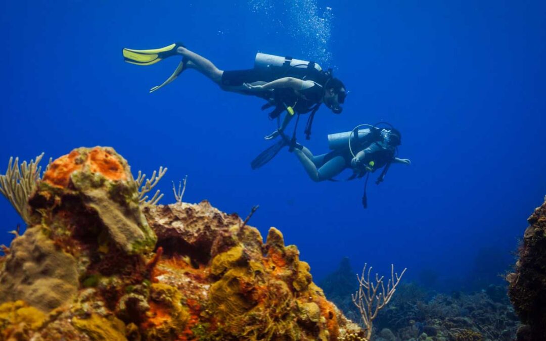 DISCOVER SCUBA DIVING