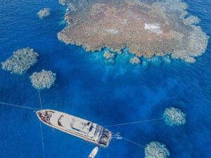 Joining a liveaboard adventure
