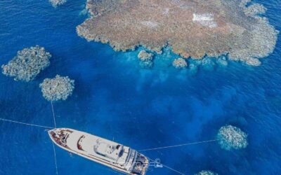 Secrets to Booking the Perfect Red Sea Liveaboard: Your Ultimate Red Sea Liveaboard Booking Guide